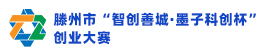 滕州市人才发展集团有限公司